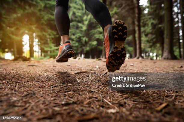 in winter running sports shoe, woman running in the forest - hardlopen stockfoto's en -beelden