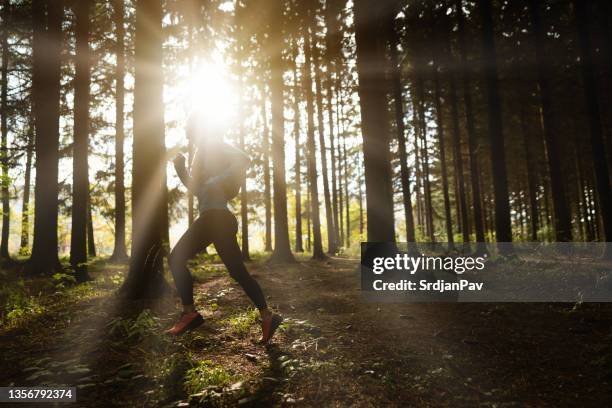 Runner In Woods 6,170 Woman Running In Woods Stock Photos, High-Res Pictures, and ...