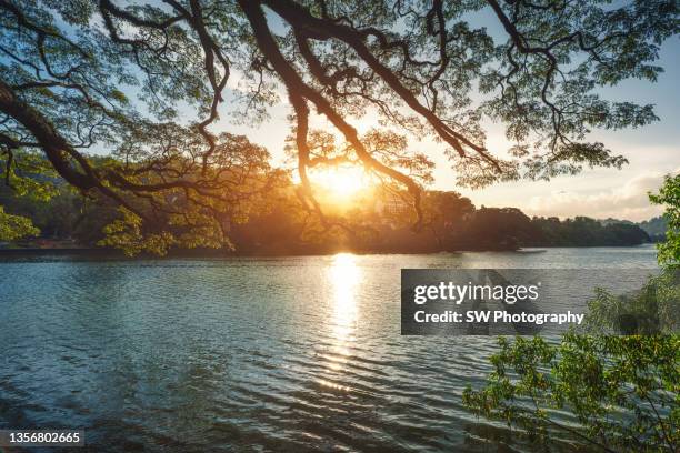 beautiful sunset photo of kandy lake, sri lanka - kandy kandy district sri lanka fotografías e imágenes de stock