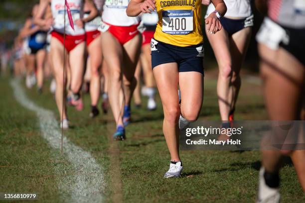 Runners compete during the Division II Men’s and Women’s Cross Country Championship held at the Abbey Course on November 20, 2021 in Saint Leo,...