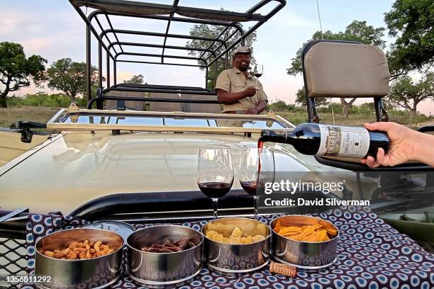 Visitors to the Inyati Game Lodge enjoy a Chateau Leoville Barton 2002 Bordeaux red wine with their local guide and tracker at sundown during a game...