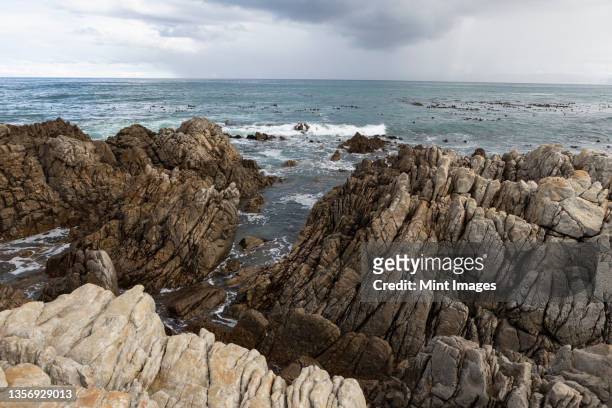 rocky jagged coastline, eroded sandstone rock, view out to the ocean - strate géologique photos et images de collection