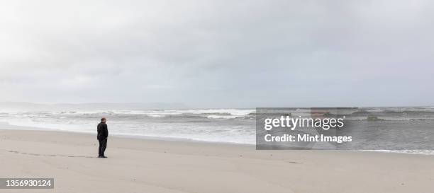 a man walking across sand to the water's edge on a beach, overcast day and surf waves breaking on shore. - hermanus stock pictures, royalty-free photos & images