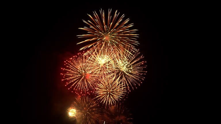 Animation Fire Works 3,466 Fire Works Animation Stock Videos, Footage, & 4K Video Clips ...