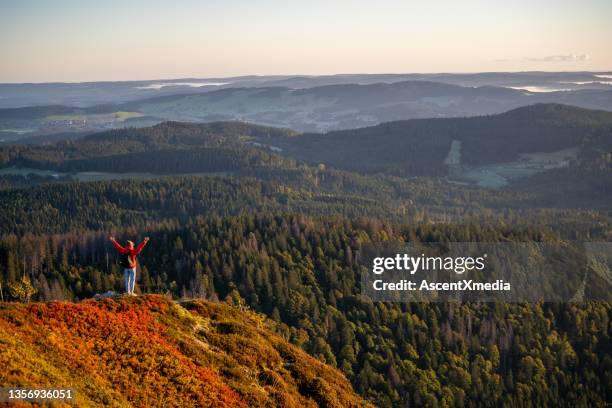 l'escursionista femminile si rilassa sul crinale erboso della montagna - schwarzwald foto e immagini stock