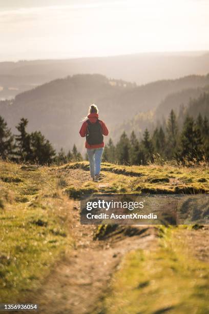 female hiker follows trail through meadow - floresta negra imagens e fotografias de stock