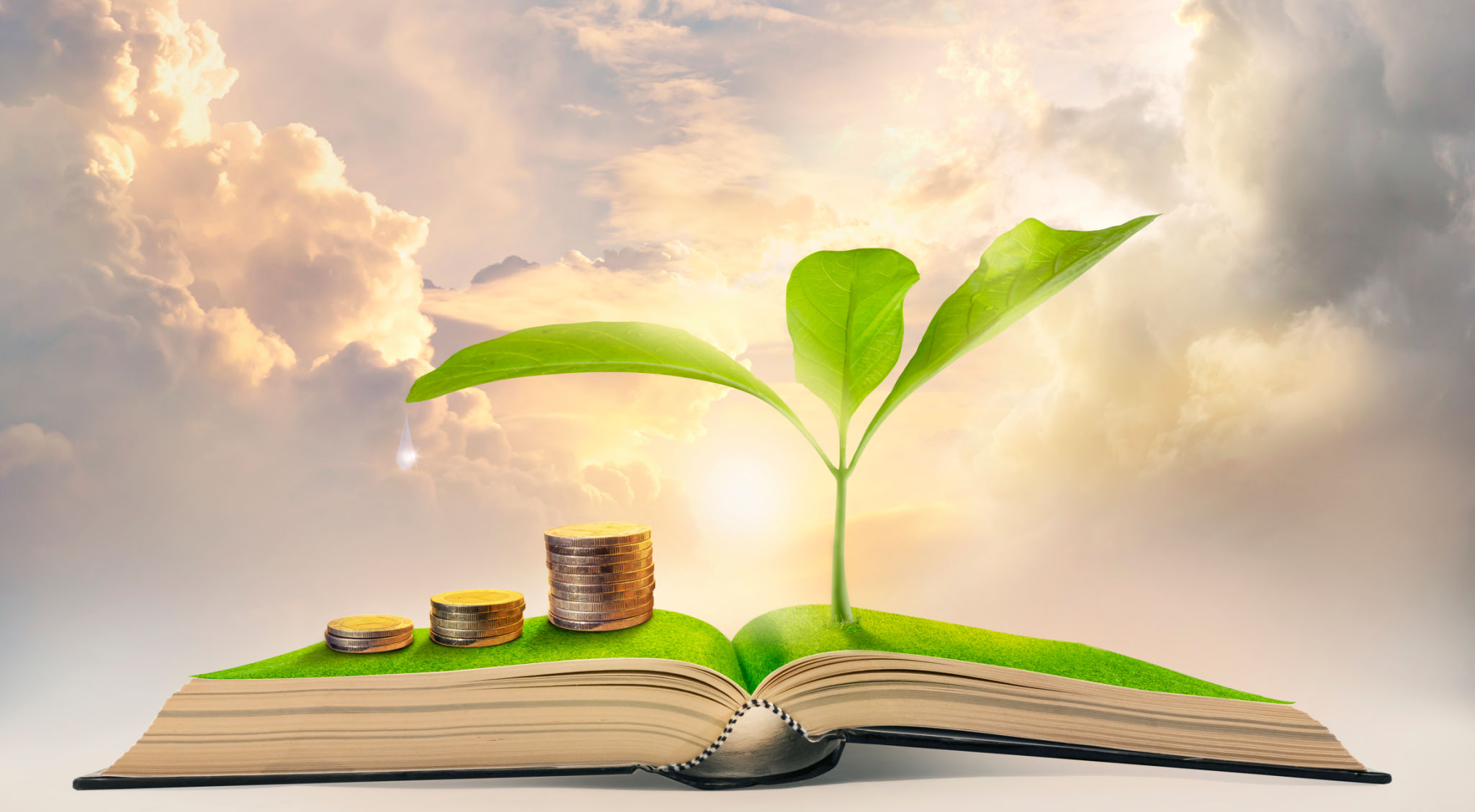 trading bible