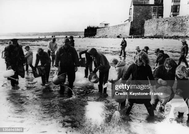 Nettoyage de la plage de Marazion après la marée noir du Torrey Canyon, le 30 mars 1967.