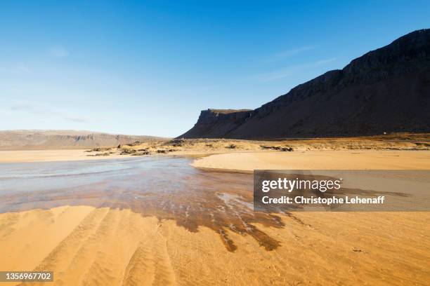 rauðisandur beach, iceland - westfjords iceland stock pictures, royalty-free photos & images