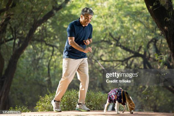 man walking with pet dog at park - man walking in a park stock pictures, royalty-free photos & images