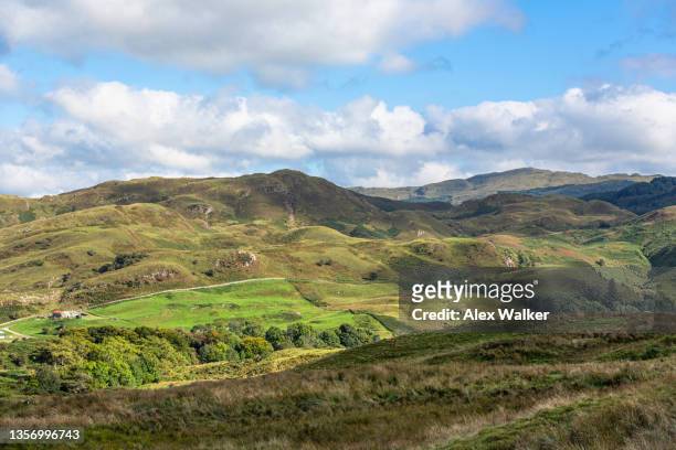 dramatic landscape looking towards loch lomond national park in scotland, uk - rolling landscape stock pictures, royalty-free photos & images