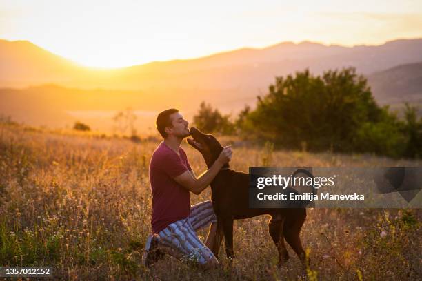 young man walking his dog - doberman pinscher imagens e fotografias de stock