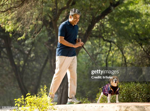 man walking with pet dog at park - animal related occupation stock pictures, royalty-free photos & images