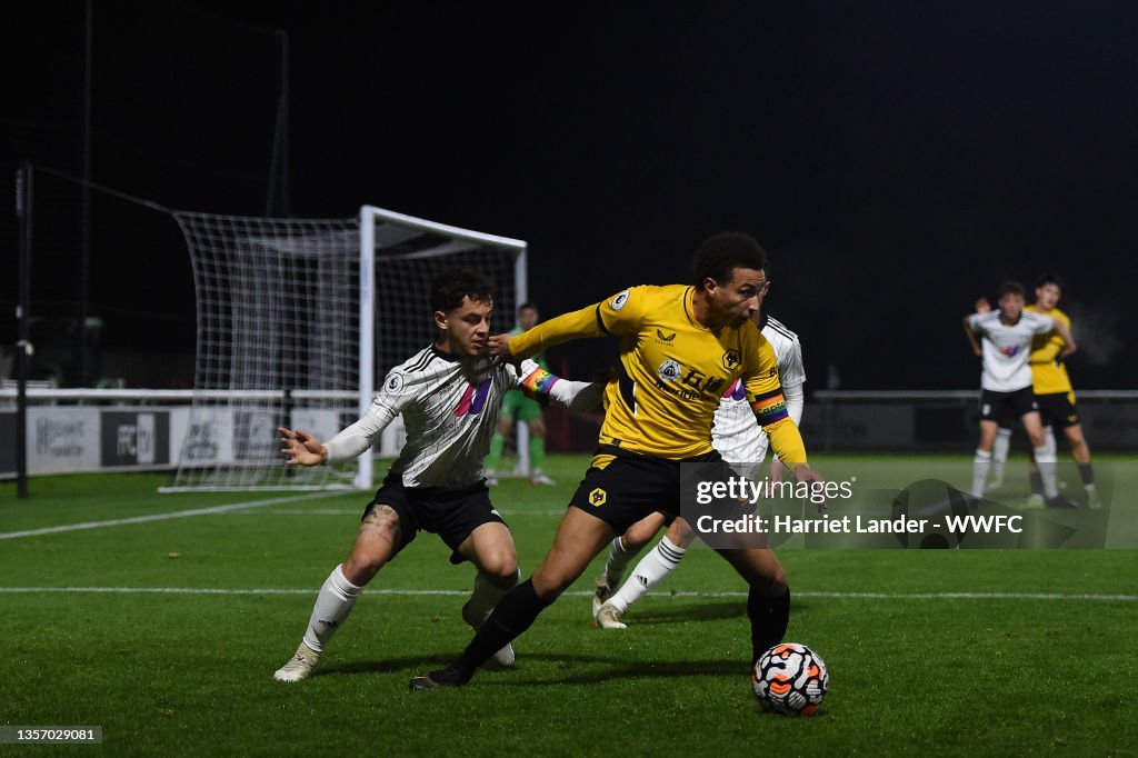 Fulham v Wolverhampton Wanderers: Premier League 2