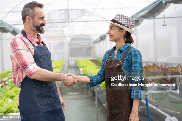 handshake of business partners vegetable farmer and customer investor dealing for business trading. - fresh deals fotografías e imágenes de stock