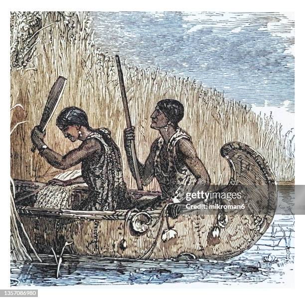 old engraving illustration of wisconsin native americans gathering wild rice by canoe - wilde rijst stockfoto's en -beelden