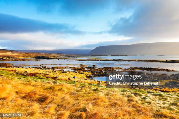 vatnsfjörður, in iceland - westfjorde island stock-fotos und bilder