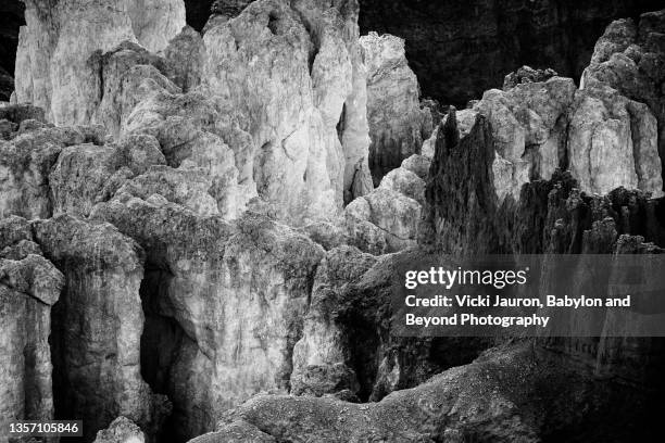 amazing black and white close up of bryce canyon hoodoos - pinnacle stock-fotos und bilder