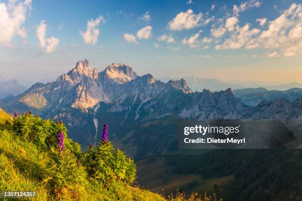 bergsommer am dachstein mit blick auf die große bischofsmütze - alpenglow stock-fotos und bilder