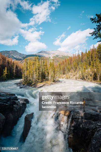 sunwapta falls, icefields parkway, jasper, canadian rockies, canada. woman on the edge of the waterfall - canada rockies fotografías e imágenes de stock