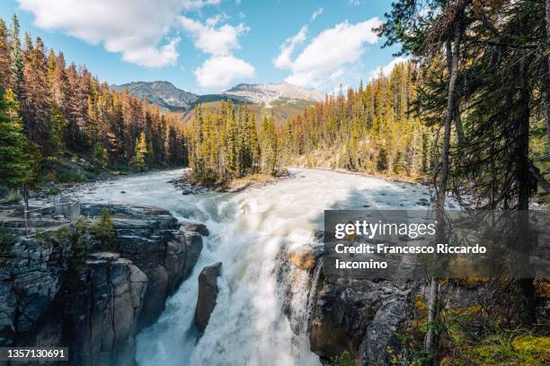 sunwapta falls, icefields parkway, jasper, canadian rockies, canada. woman on the edge of the waterfall - jasper national park stock pictures, royalty-free photos & images