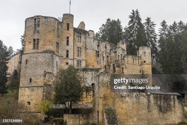 Castle — tower house in Beaufort