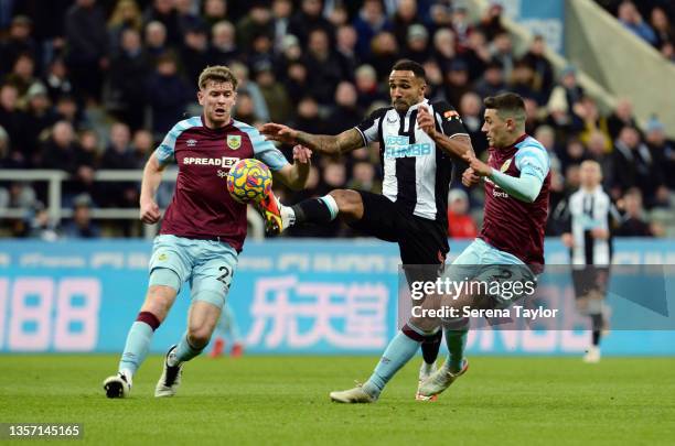 Callum Wilson of Newcastle United during the Premier League match between Newcastle United and Burnley at St. James Park on December 04, 2021 in...