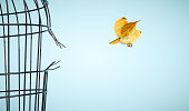 Canary escapes from bird cage. Freedom and open mind concept.  This is a 3d render illustration