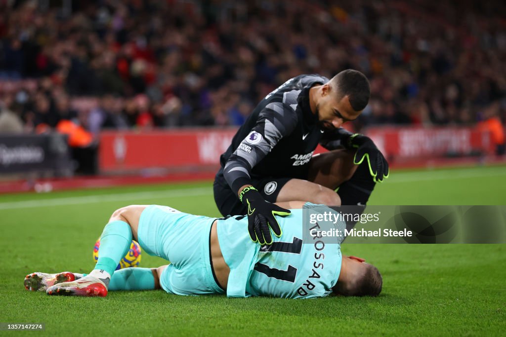 Southampton v Brighton & Hove Albion - Premier League