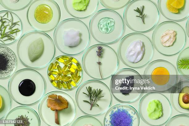 organic, bio cosmetics healthy concept with petri dishes  with natural plants and  beauty products. - cosmética foto e immagini stock
