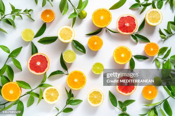 scheiben von zitrusfrüchten nahaufnahme orangen mandarinen limette zitrone an - zitrusfrucht stock-fotos und bilder