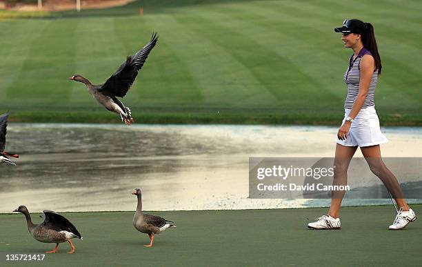 Maria Verchenova of Russia upsets the geese as she walks onto the 18th green during the pro-am competition for the 2011 Omega Dubai Ladies Masters on...