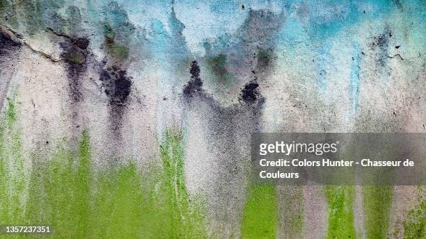 lichen and oxidation colors on a patinated stone wall in paris - lichen formation stock pictures, royalty-free photos & images