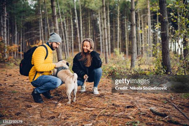 young couple enjoying a walk with their dog - mid adult stock pictures, royalty-free photos & images