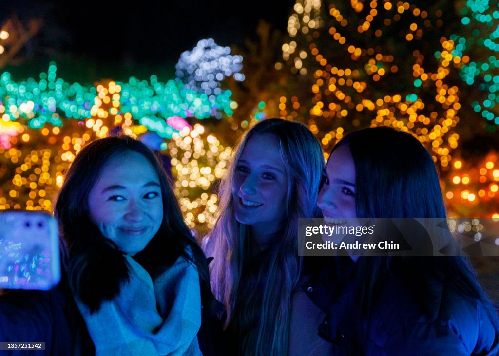 VanDusen Festival Of Lights 2021