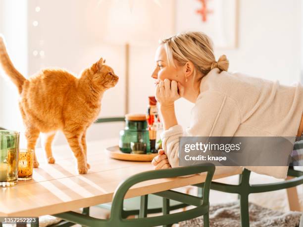 femme à la maison avec un chat sur la table câlinant son vieil animal de compagnie au gingembre - face à face photos et images de collection