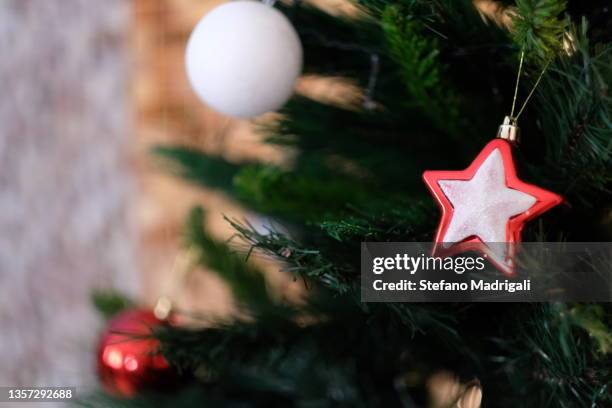 christmas tree illuminated inside the house - funny snow globe stock pictures, royalty-free photos & images