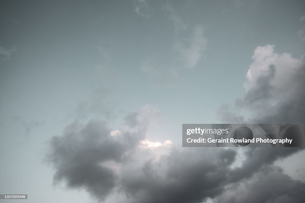 Canary Island Nature Image