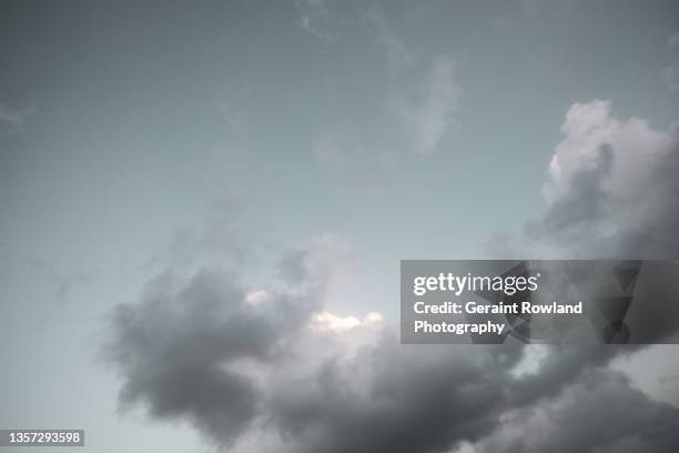 canary island nature image - entsättigt stock-fotos und bilder