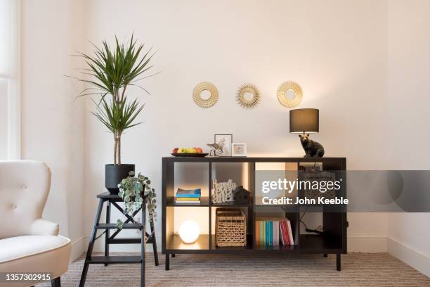 property interiors - dracaena draco stock pictures, royalty-free photos & images