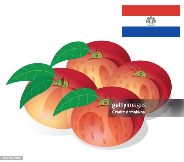 ilustraciones, imágenes clip art, dibujos animados e iconos de stock de durazno fresco y paraguay - paraguaya fruta
