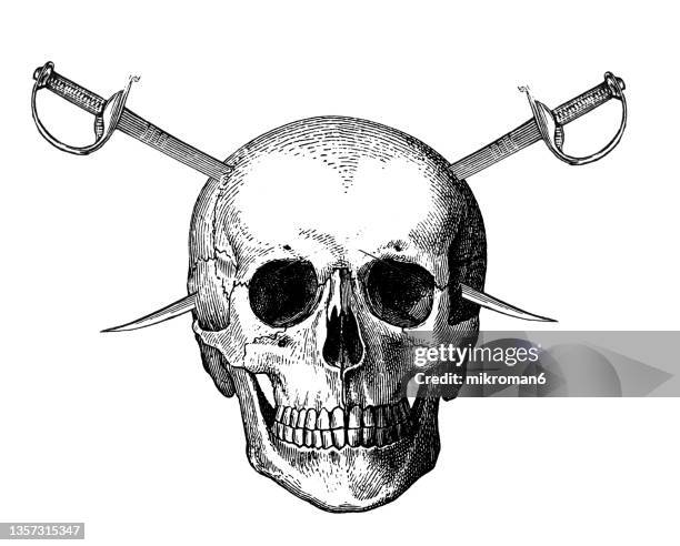 old engraved illustration of human skull and two crossed swords - sword fotografías e imágenes de stock