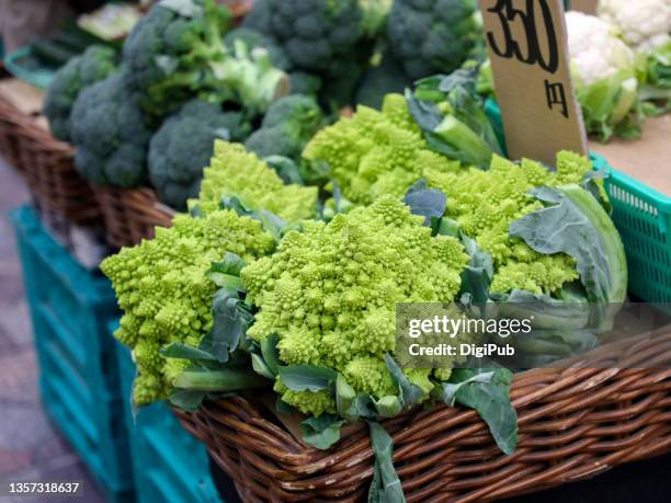romanesco broccoli, cauliflower romanesco, brassica oleracea var. botrytis - chou romanesco stock pictures, royalty-free photos & images