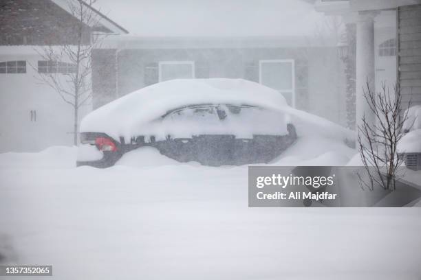 blizzard - snöyra bildbanksfoton och bilder