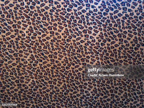 leopard  pattern background - leopardenfell stock-fotos und bilder