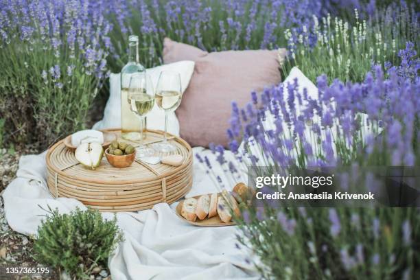 picnic with white dry wine, olives, baguette and camembert cheese in lavender field. - osier photos et images de collection