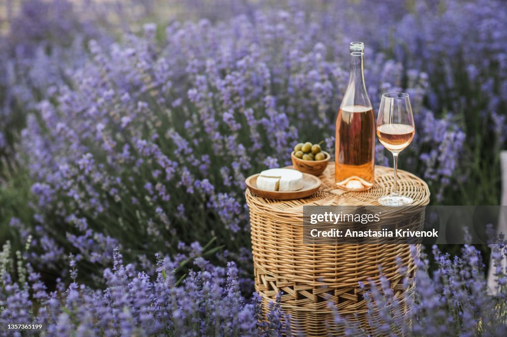 Wicker basket tea table with rose wine in lavender field.