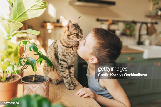 child playing with baby cat. kid holding black kitten. little boy snuggling cute pet animal sitting on white couch in sunny living room at home. kids play with pets. children and domestic animals. - kid holding cat foto e immagini stock