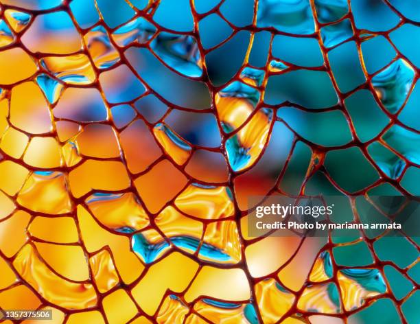 macro photo of a fan coral abstract - feita pela natureza imagens e fotografias de stock