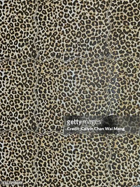 animal prints wall tiles design - gepardtryck bildbanksfoton och bilder